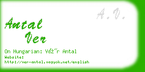 antal ver business card